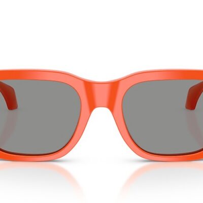 Versace Sunglasses (0VE4486 55111 52)
