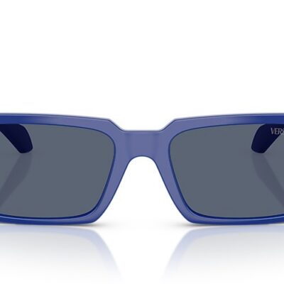Versace Sunglasses (0VE4490U 545087 55)