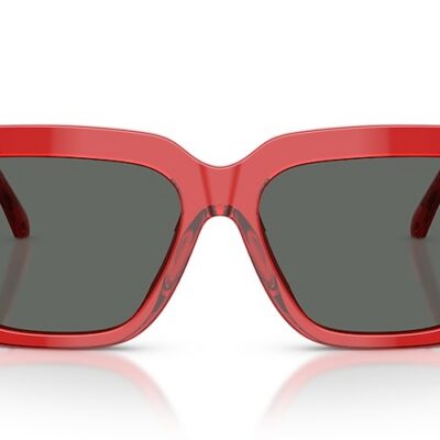 Versace Sunglasses (0VE4498 528087 55)