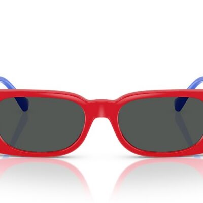 Versace Kids' Sunglasses (0VK4003U 506587 47)