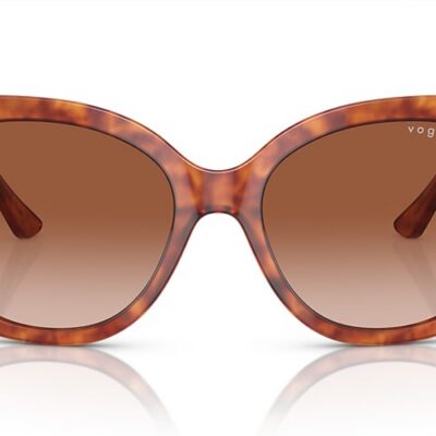 Vogue Sunglasses (0VO5338S 279213 54)