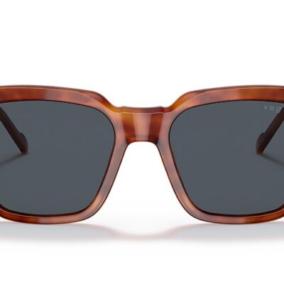 Vogue Sunglasses (0VO5380S 279287 50)