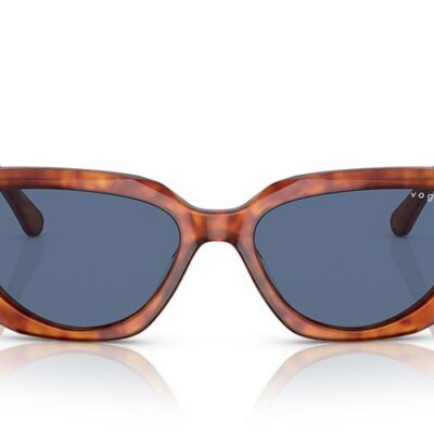 Vogue Sunglasses (0VO5438S 279280 52)