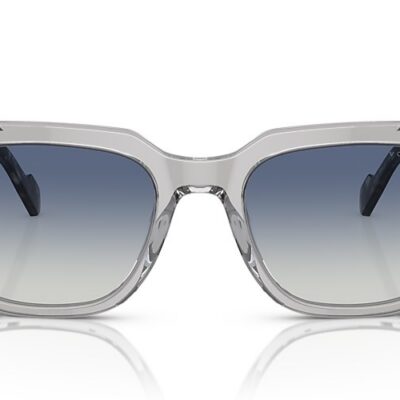 Vogue Sunglasses (0VO5490S 28204L 54)