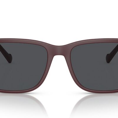 Vogue Sunglasses (0VO5493S 304887 56)