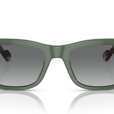 Vogue Sunglasses (0VO5530S 309211 55)