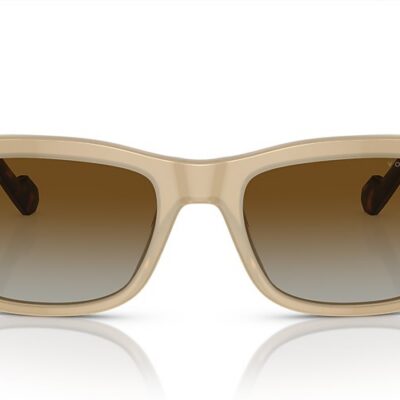 Vogue Sunglasses Polarized (0VO5530S W900T5 55)