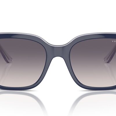 Vogue Sunglasses (0VO5558S 313736 55)