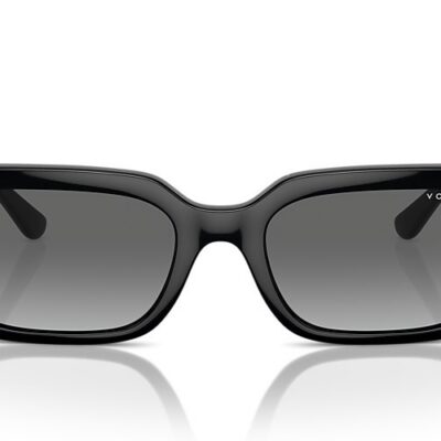 Vogue Sunglasses (0VO5565S W4411 53)