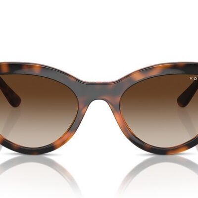 Vogue Sunglasses (0VO5566S W65613 52)