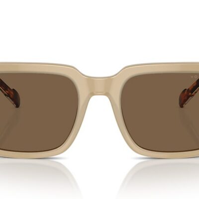 Vogue Sunglasses (0VO5573S W90073 55)