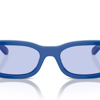 Vogue Sunglasses (0VO5584S 31621A 53)