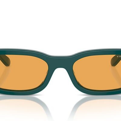 Vogue Sunglasses (0VO5584S 31637 53)
