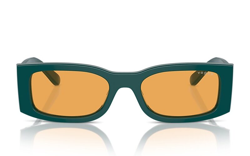 Vogue Sunglasses (0VO5584S 31637 53)