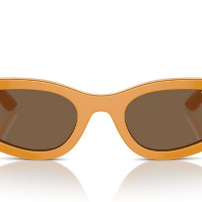 Vogue Sunglasses (0VO5585S 315973 54)