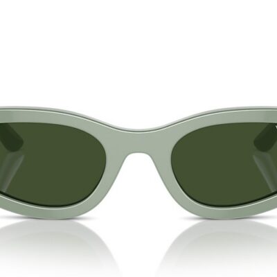 Vogue Sunglasses (0VO5585S 316171 54)