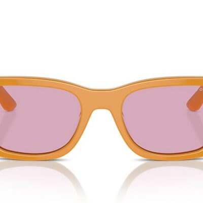 Vogue Sunglasses (0VO5586S 315976 53)