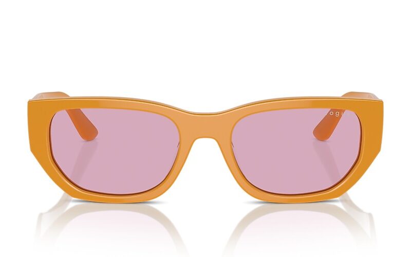 Vogue Sunglasses (0VO5586S 315976 53) Vogue Sunglasses (0VO5586S 315976 53)