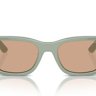 Vogue Sunglasses (0VO5586S 31613 53)