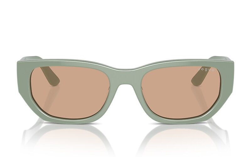 Vogue Sunglasses (0VO5586S 31613 53) Vogue Sunglasses (0VO5586S 31613 53)