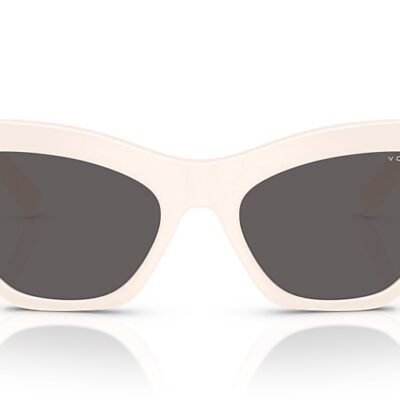 Vogue Sunglasses (0VO5607S 312487 53)