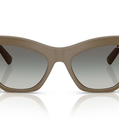 Vogue Sunglasses (0VO5607S 317511 53)