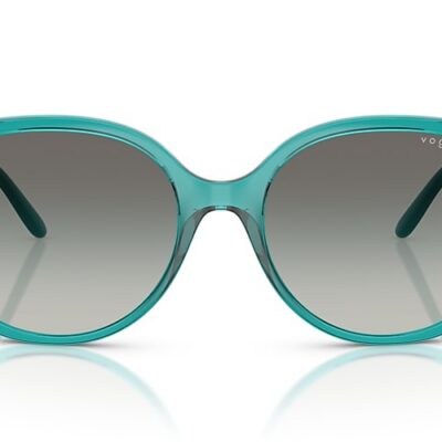 Vogue Sunglasses (0VO5623S 319111 55)