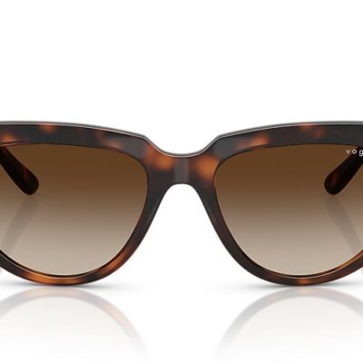Vogue Sunglasses (0VO5629S 271813 54)