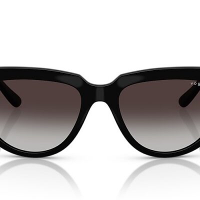Vogue Sunglasses (0VO5629S W448G 54)