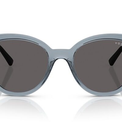 Vogue Sunglasses (0VO5634SB 296687 53)
