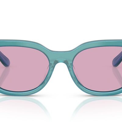 Vogue Sunglasses (0VO5641SU 323576 53)