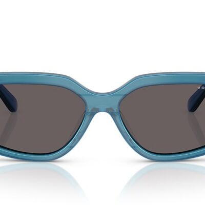Vogue Sunglasses (0VO5642SU 323787 55)
