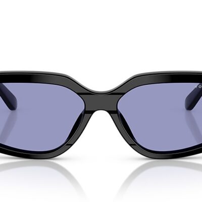 Vogue Sunglasses (0VO5642SU W4476 55)
