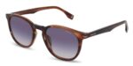 Police CHAMP 13 SPLQ82 Havana/Grey Shaded Sunglasses