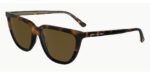 CALVIN KLEIN Unisex Sunglasses CK24537S