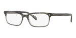 Oliver Peoples Men's DENISON OV 5102 Matte Storm Eyeglasses