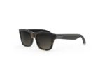 Dior Men's DIORTAILORING S1I Havana/Gradient Smoke Sunglasses