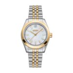 Dkny Watch (DK1L029M0075)