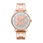 DKNY Women's 36mm Watch (DK1L035M0225)