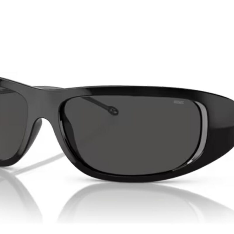 Diesel Men's DL 3001 Glossy Black/Dark Grey Sunglasses