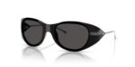 Diesel Men's DL 3003 Glossy Black/Dark Grey Sunglasses