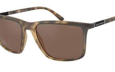 EMPORIO ARMANI Men's Sunglasses EA 4161