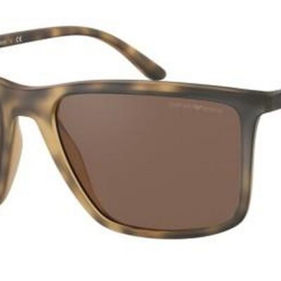 EMPORIO ARMANI Men's Sunglasses EA 4161