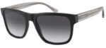 EMPORIO ARMANI Men's Sunglasses EA 4163