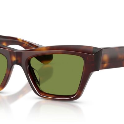 Oliver Peoples EDITION 3 OV 5611SU Dark Mogano/Green Sunglasses