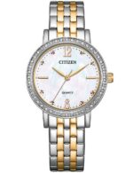 Citizen Men's 46mm Watch (EL3106-59D)