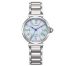 Citizen Men's 43mm Watch (EM1070-83D)