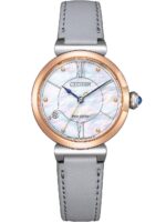 Citizen Men's 43mm Watch (EM1074-15D)