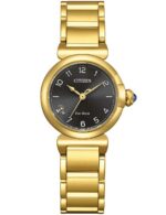 Citizen Men's 43mm Watch (EM1132-88H)