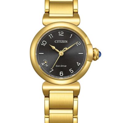 Citizen Men's 43mm Watch (EM1132-88H)